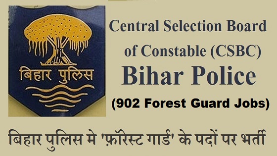 Bihar, Patna: दिवाली और छठ पूजा महापर्व की सुरक्षा को लेकर बिहार पुलिस  अलर्ट, विभिन्न जिलों में तैनात होंगे 13 हजार पुलिसकर्मी
